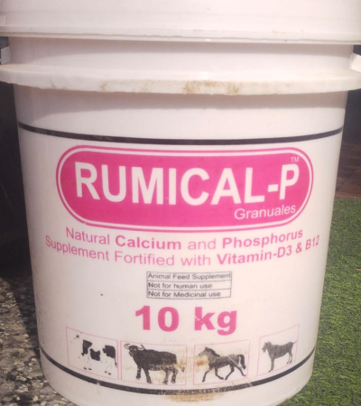 RUMICAL P 10KG